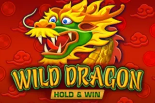 Slot Wild Dragon Hold & Win
